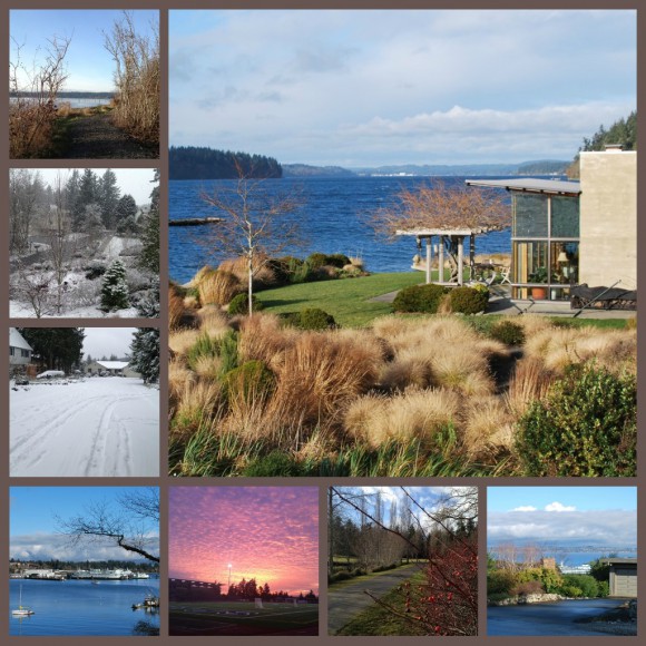 Winter 2012 on Bainbridge Island